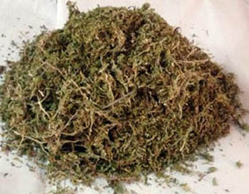 sell ganja
